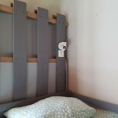 Panama Selva Backpacker Гостевой дом *