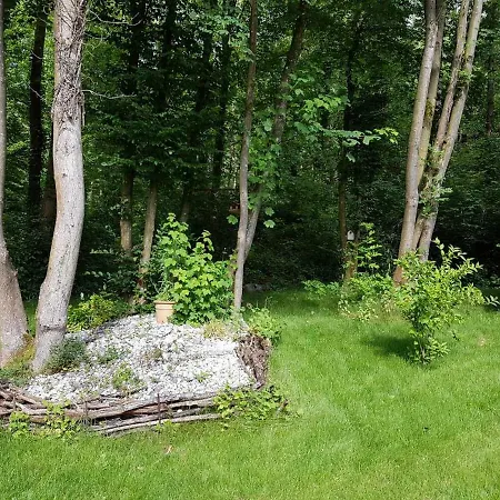 Panama Selva Backpacker Гостевой дом Динан