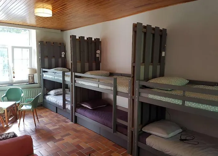Panama Selva Backpacker Pensjonat *