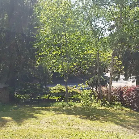 Panama Selva Backpacker * دينانت