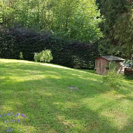 Panama Selva Backpacker ゲストハウス ディナン