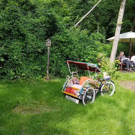 Panama Selva Backpacker دينانت