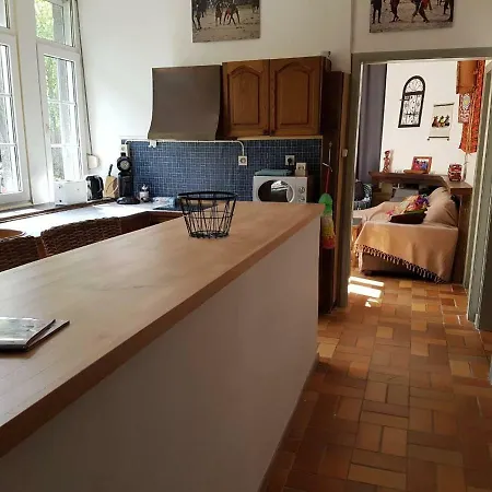 Panama Selva Backpacker