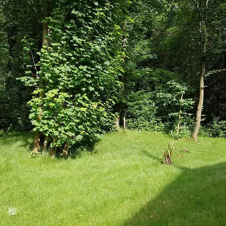 Panama Selva Backpacker ゲストハウス *