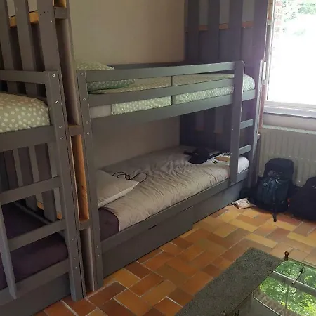 Panama Selva Backpacker دينانت